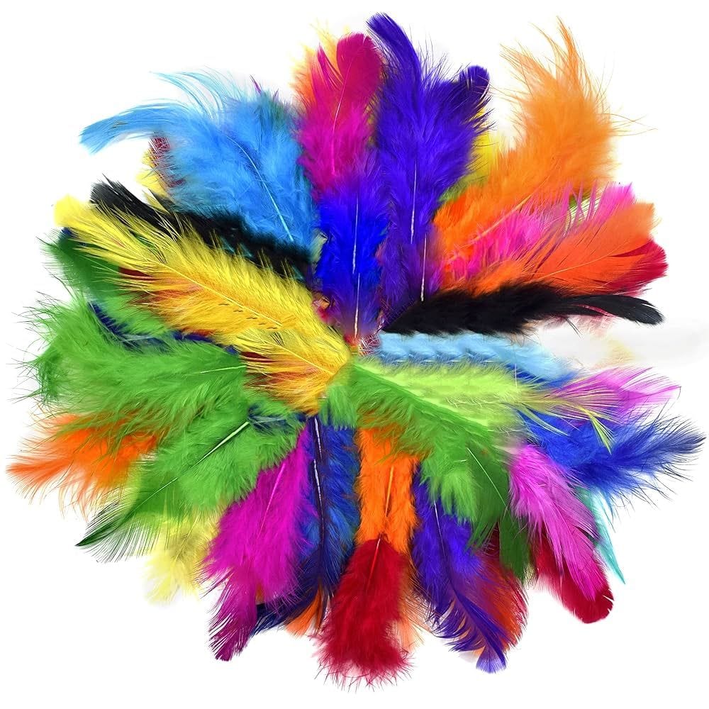 Assorted Colour Bird Feathers 10 colours (4 inch, 50 pcs)