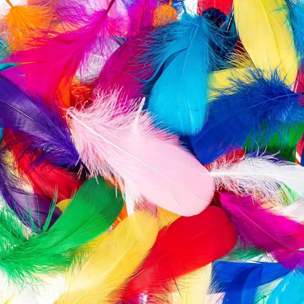 Assorted Colour Feathers 10 colours (4 inch, 50 pcs)