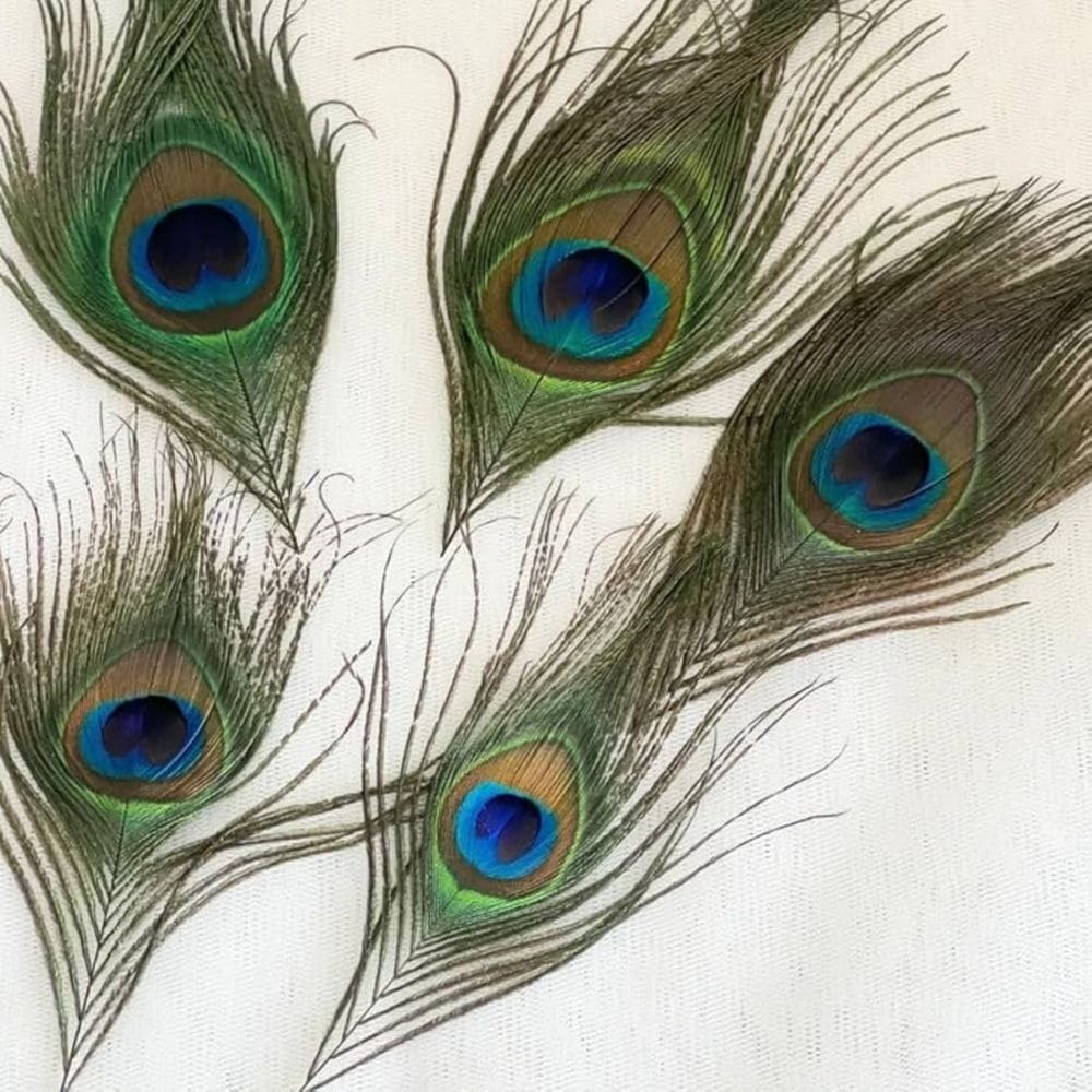 Peacock Feathers (9 inch, 5 pcs)