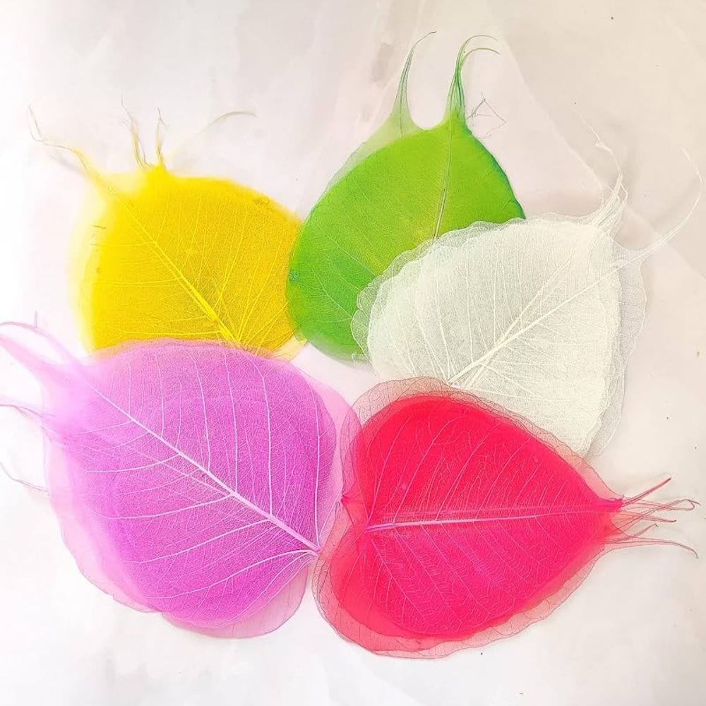 Peepal Leaf Assorted 5 colours (4 inch, 25 pcs)