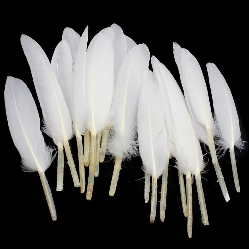 White Feathers (4 inch, 20 pcs)